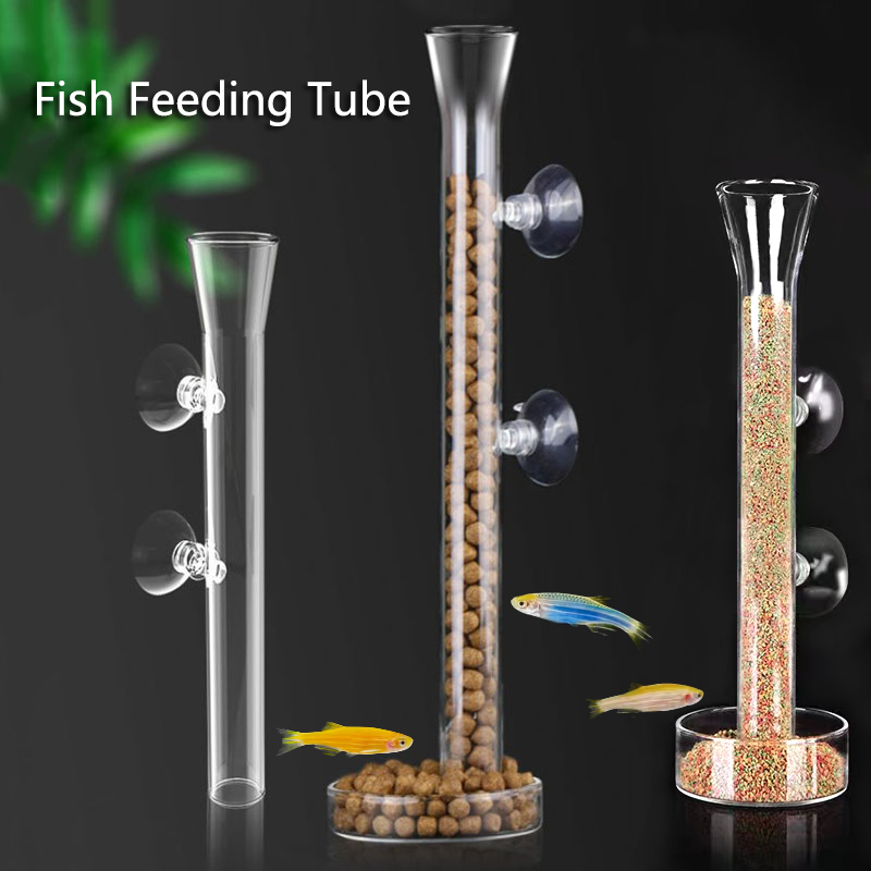 Meal Prep Glass - Cam akvaryum besleyici tüp çanak şeffaf